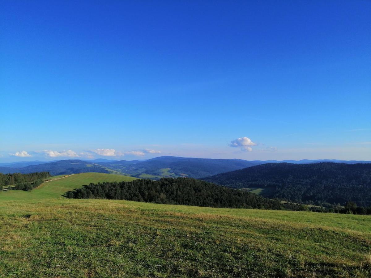 Вилла Rzepedka Rzepedz Экстерьер фото